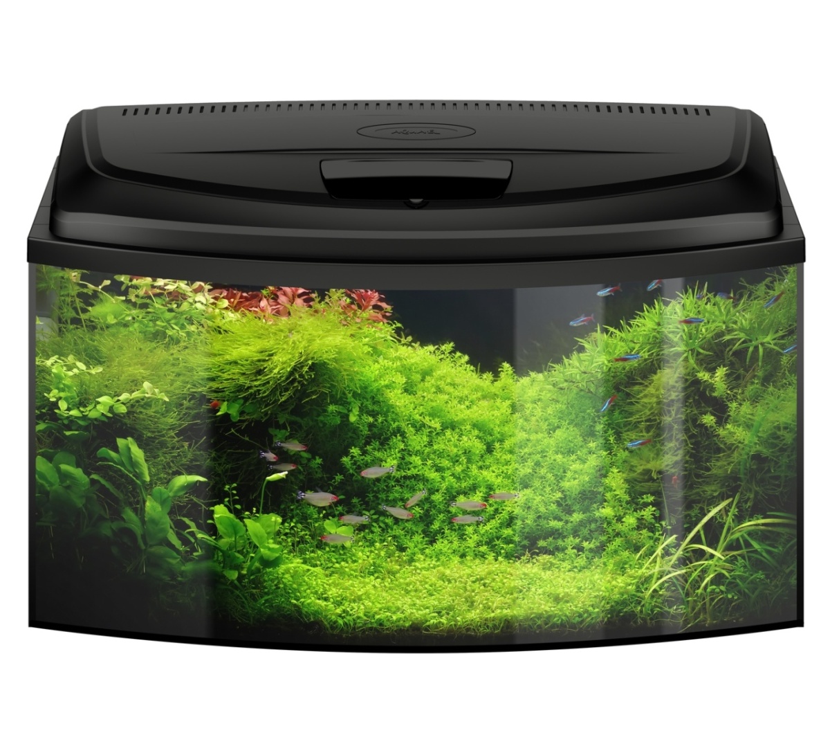  AQUAEL Аквариум AQUA4 FAMILY 80 D&N 102л фигурный 80х35х40см. Комплектация: крышка свет LTSunny 1х14Вт D&N фильтр FAN 2 plus нагреватель Fix 2 100W подложка. (Польша), 124266