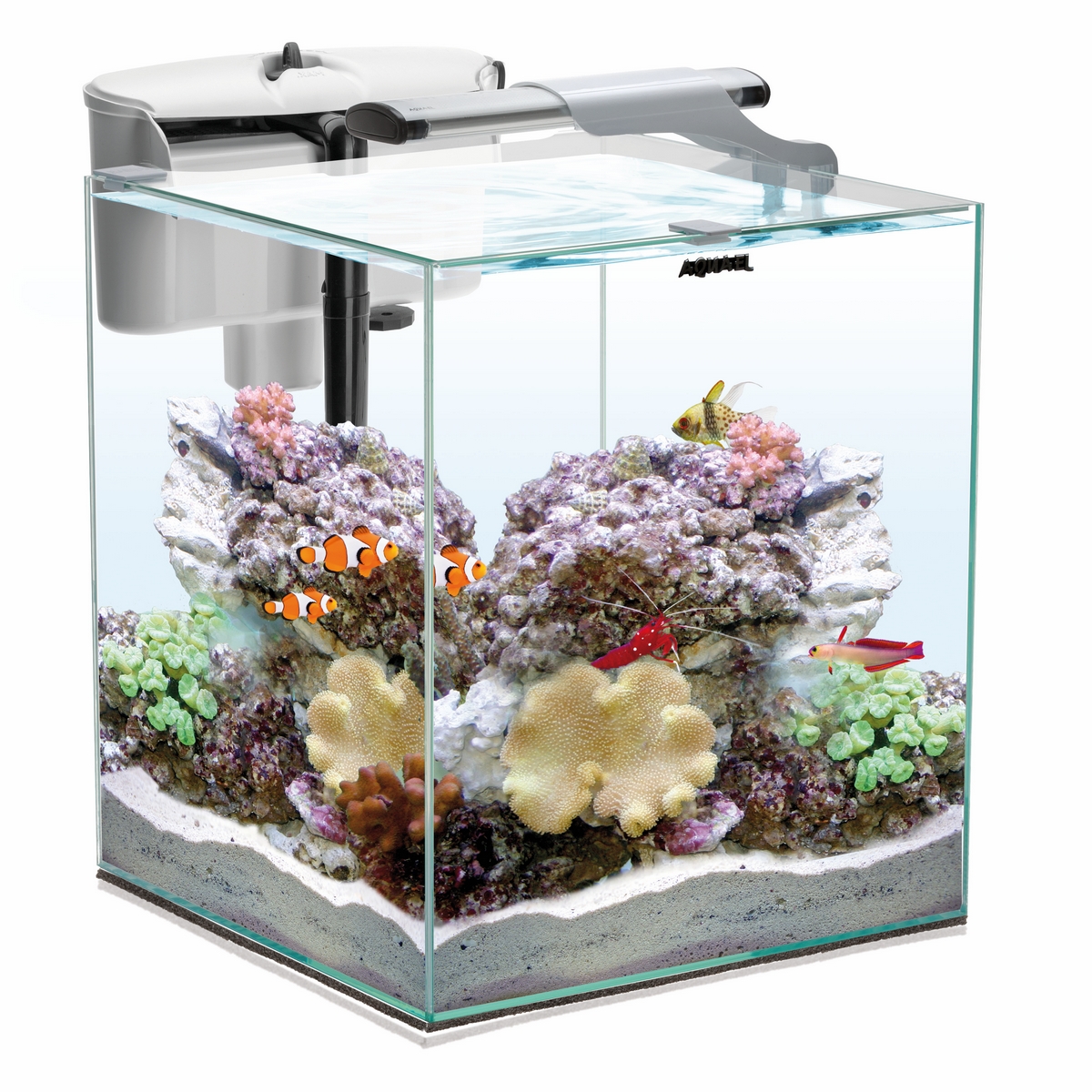 AQUAEL Aквариум NANO REEF DUO LED 49л Белый, 35х35х40 Комплектация: покрывное стекло, свет: LEDDY SLIM DUO (Marine + Actinic), фильтр VERSAMAX FZN 3. (Польша), 115154