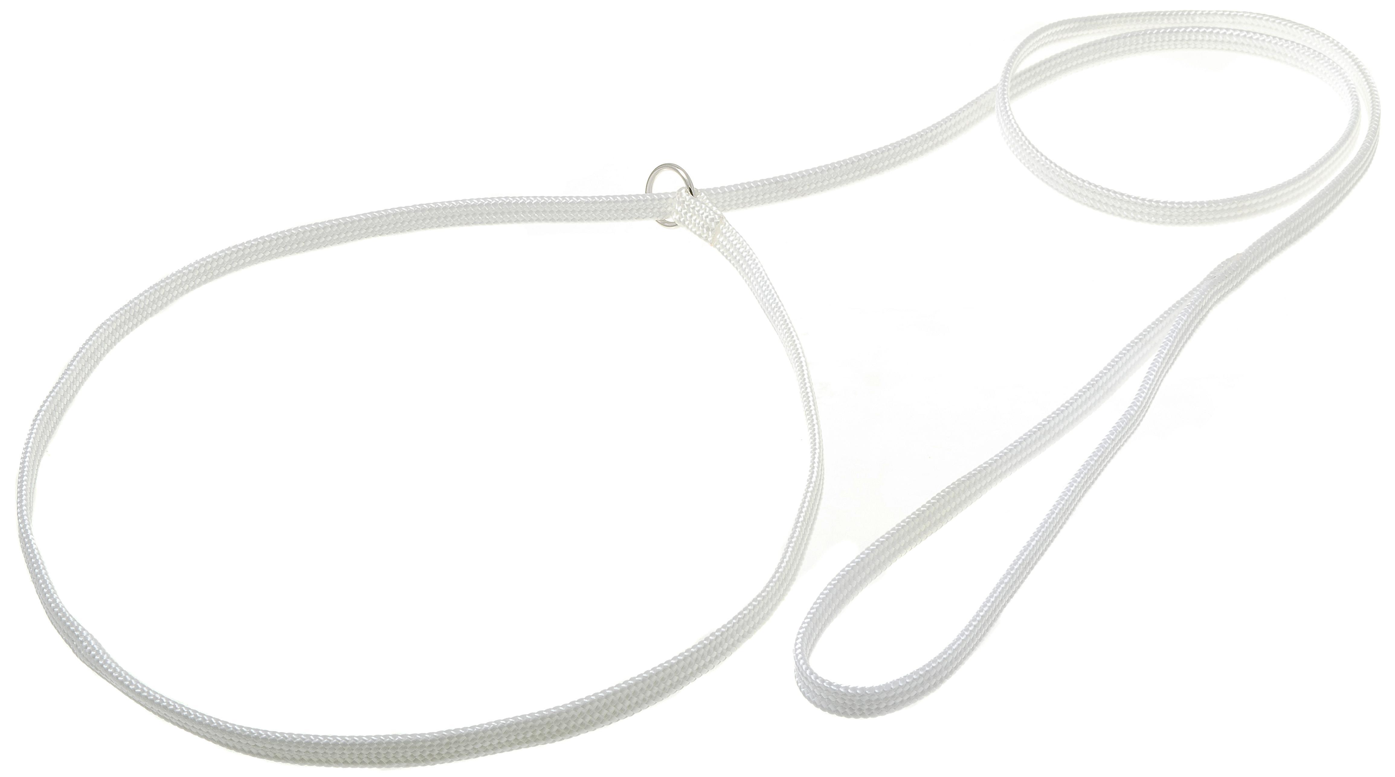 Поводок-удавка нейлон. с кольцом, лента-чулок, 7 мм х 150 см, белый