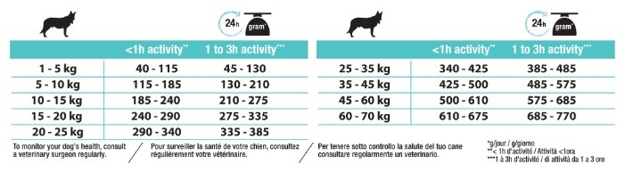 Purina Pro Plan Сухой корм для взрослых собак средних пород с чувствительным пищеварением с ягненком (Adult Digestion) 12278096 12366972 14.000 кг 19004