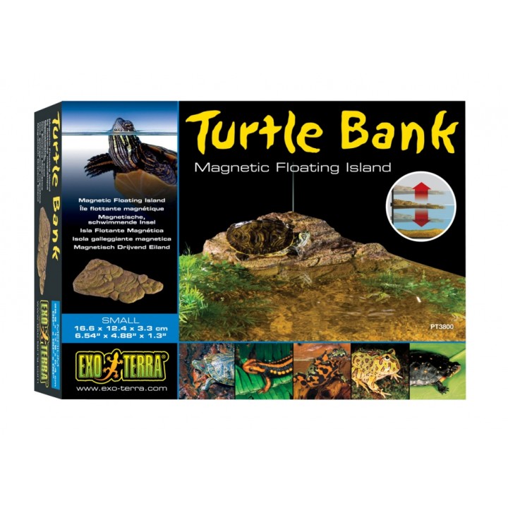 Hagen черепаший берег Turtle Island средний