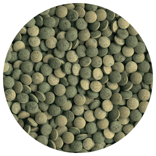 Tetra (корма) Корм для травоядных донных рыб Pleco Tablets  120 табл. 199217 0,036 кг 36371
