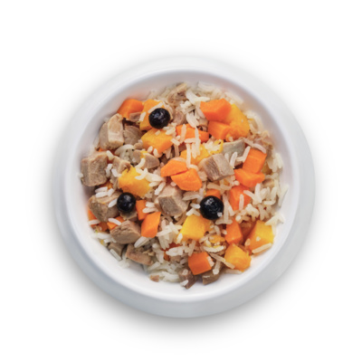 Petsmack Филе утки с тыквой, морковью, пропаренным рисом и черникой 1+1 43540, 0,2 кг, 43540