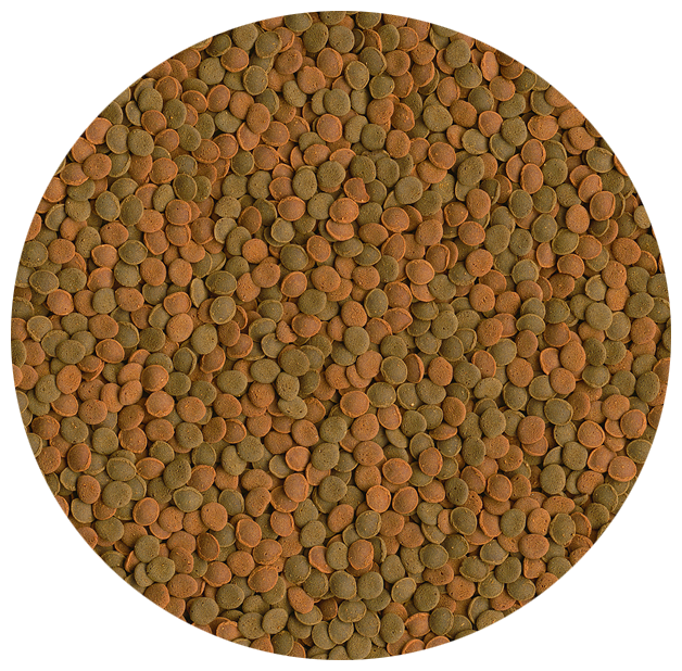 Tetra (корма) Корм для всех донных рыб подходит для ракообразных 2 вида чипсов Wafer Mini Mix 189911 0,052 кг 44849