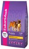 Eukanuba Корм для собак миниатюрных пород 20900050R0 0.500 кг 51857