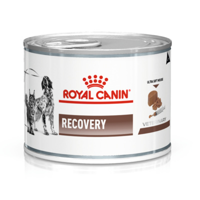 Royal Canin (вет. паучи) RC Паштет для животных при анорексии (Recovery FelineCanine) 40550019A0 | Recovery, 0,195 кг 