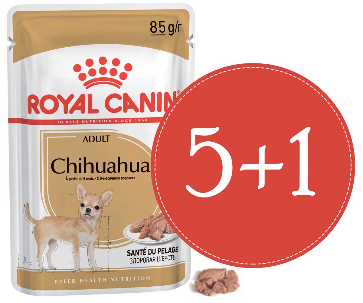 ROYAL CANIN Комплект Чихуахуа (паштет) 5+1Х0,085 кг 1668127, 4200100394