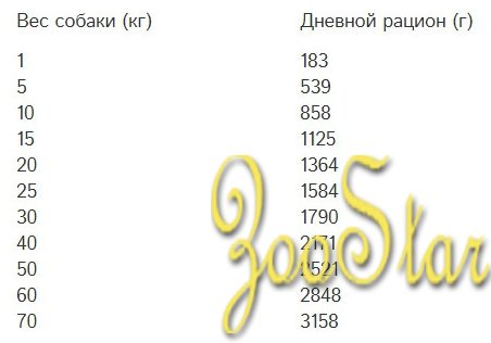 Bozita Кусочки в желе для собак с курицей и рисом 82022, 0,37 кг, 57386