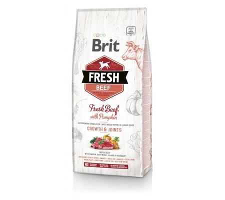 Brit Сухой корм Fresh для щенков крупных пород  с говядиной и тыквой (Beef with Pumpkin Puppy Large) 530762, 2,500 кг, 18000100435