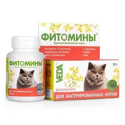 Веда Фитомины для Кастрированных котов 100таб. 0,05 кг 22346