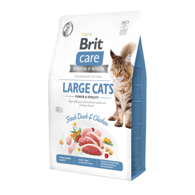 Brit Сухой гипоаллергенный корм Care Cat GF Large cats Power & Vitality со свежим мясом утки и курицы для взрослых кошек крупных пород 540907, 7,000 кг