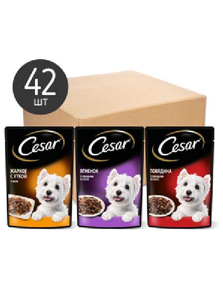 Cesar Набор паучей для собак, три вкуса (паучи желе 14шт х 85г и паучи ломтики в соусе 28шт х 85г) 10246677, 3,57 кг 