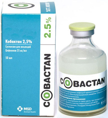 Intervet Кобактан 2,5проц. фл. 50 мл., суспензия для инъекций, антибактериальный препарат группы цефалоспоринов для КРС и свиней, 0,115 кг 