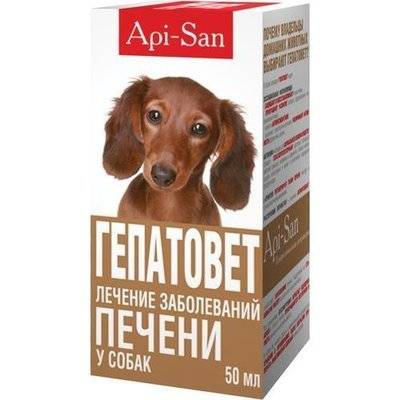 Апи-Сан (Apicenna) ВИА Гепатовет для лечения печени собак, суспензия, 0,05 кг, 12391