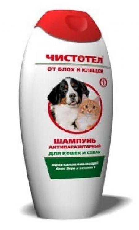 Защита собаки от блох. Чистотел шампунь для собак от блох. Шампунь для собак от блох и клещей. Шампунь от блох для щенков. Шампунь от блох для кошек и собак.