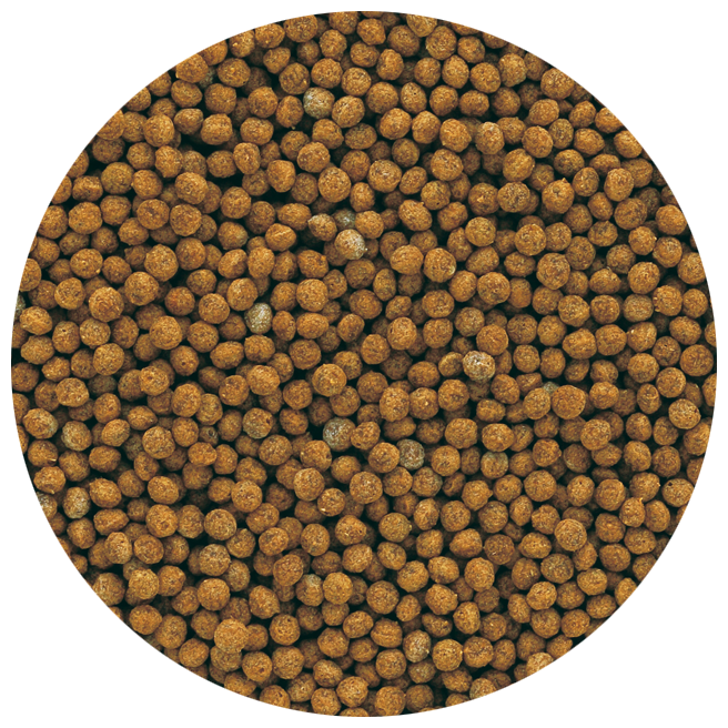 Tetra (корма) Корм для золотых рыбок, гранулы GoldFish Granules 135482, 0,158 кг, 36369