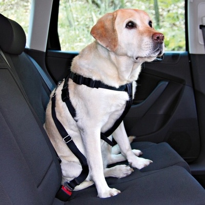Trixie Ремень безопасности для собак с шлейкой 20-50 см 0,128 кг 40799