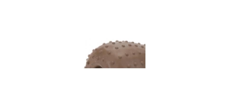 Beeztees 640950 Игрушка для собак Рулька коричневая, литая резина 15см