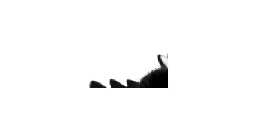  [19133] sh-07506 Игрушка для кошек Ласточка Виктория из нат.норки этикетка флажок, 19133