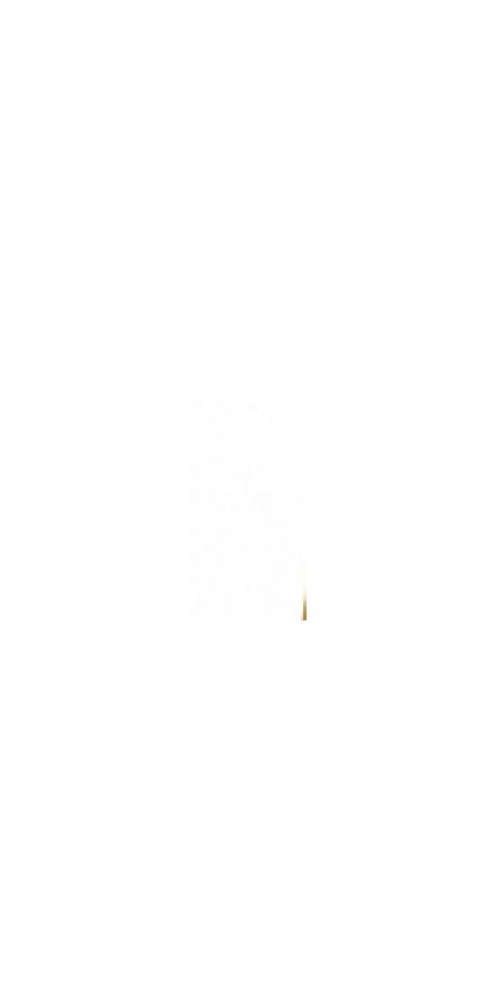 GoSi 07053 Игрушка дкошек Махалка Трубочки длинные с наконечниками 50см