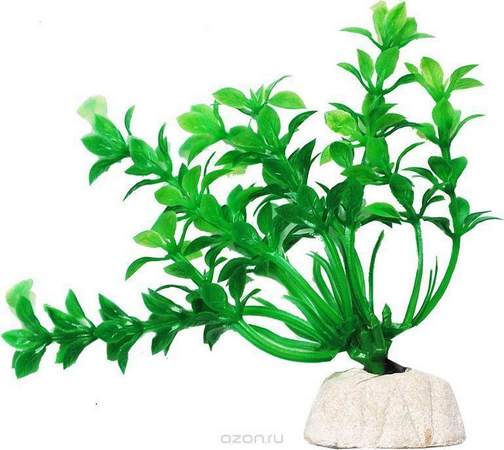 [289.0107]  УЮТ Растение аквариумное 10см Гемиантус зеленый 0,02кг (ВК102), 289.0107
