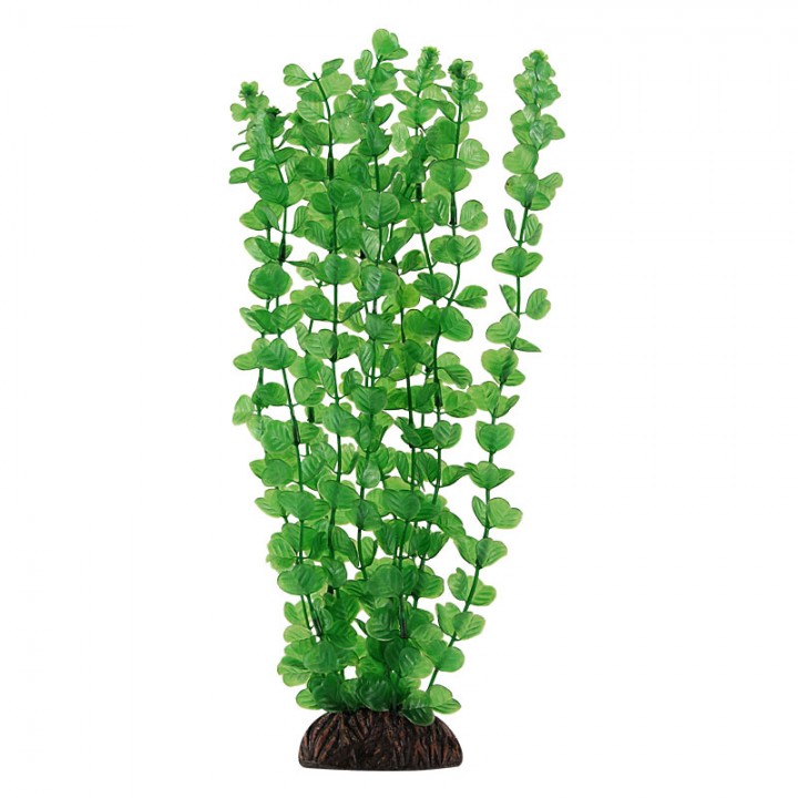 Растение 13139 Бакопа зеленая, 100мм, (пакет), Laguna 