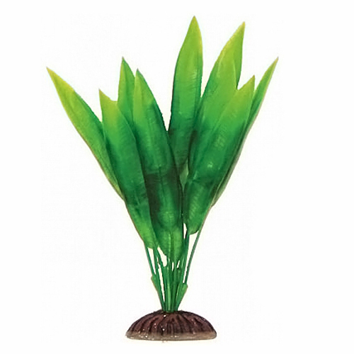 1994P Растение пласт 20см зелёное  Эхинодорус  8