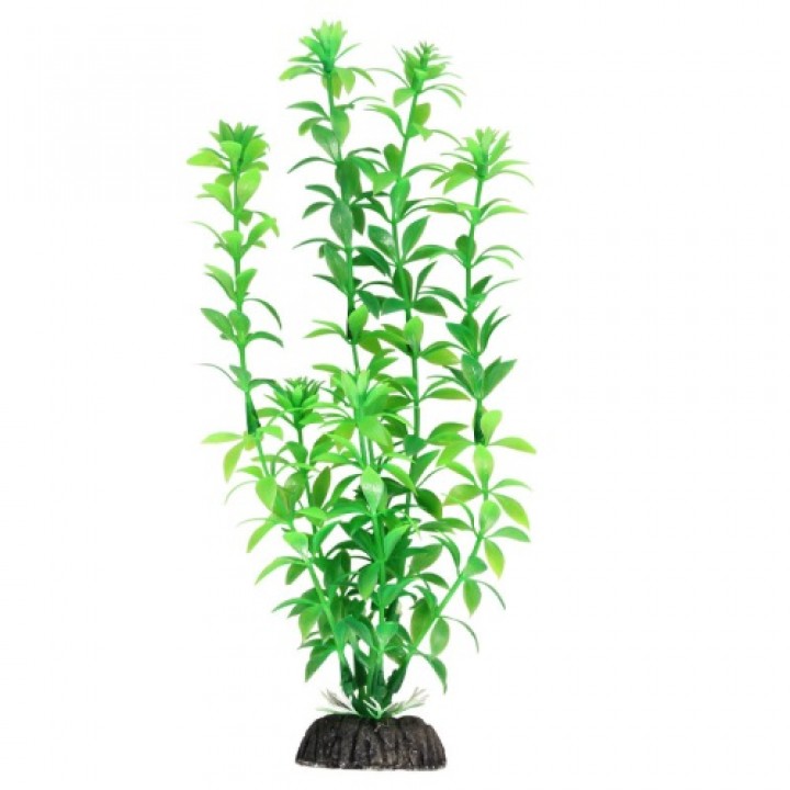 Растение 1049LD Гемиантус зеленый, 300мм, (пакет), Laguna
