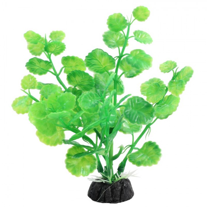 LD1033 Растение аквариумное Щитолистник 100мм зеленая