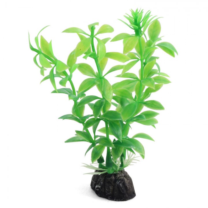 LD1047 Растение аквариумное Гемиантус 100мм зеленый