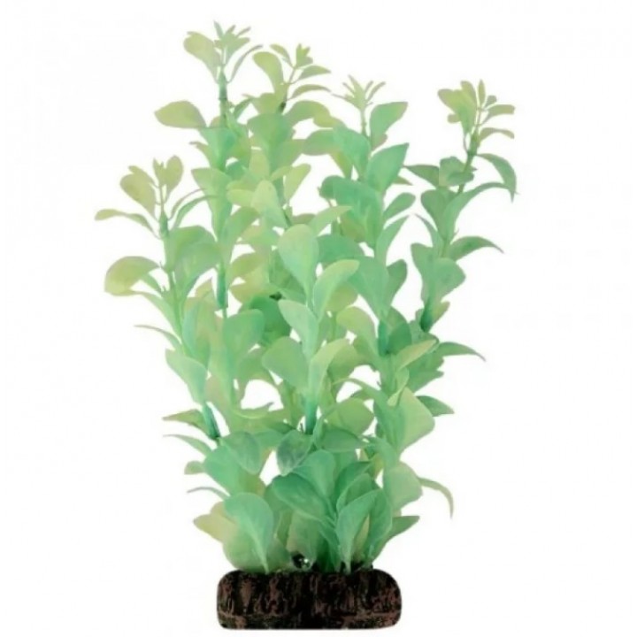 Растение 20079Y светящееся Бликса зеленая, 200мм, (блистер), Laguna, 74044137