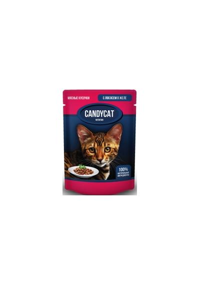 Джина CANDYCAT пауч для кошек кусочки с Лососем в желе 85г, 86606