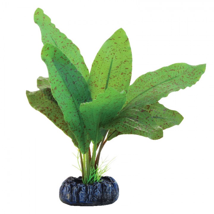 Растение шелковое Эхинодорус крапчатый, 200мм, (пакет), Laguna