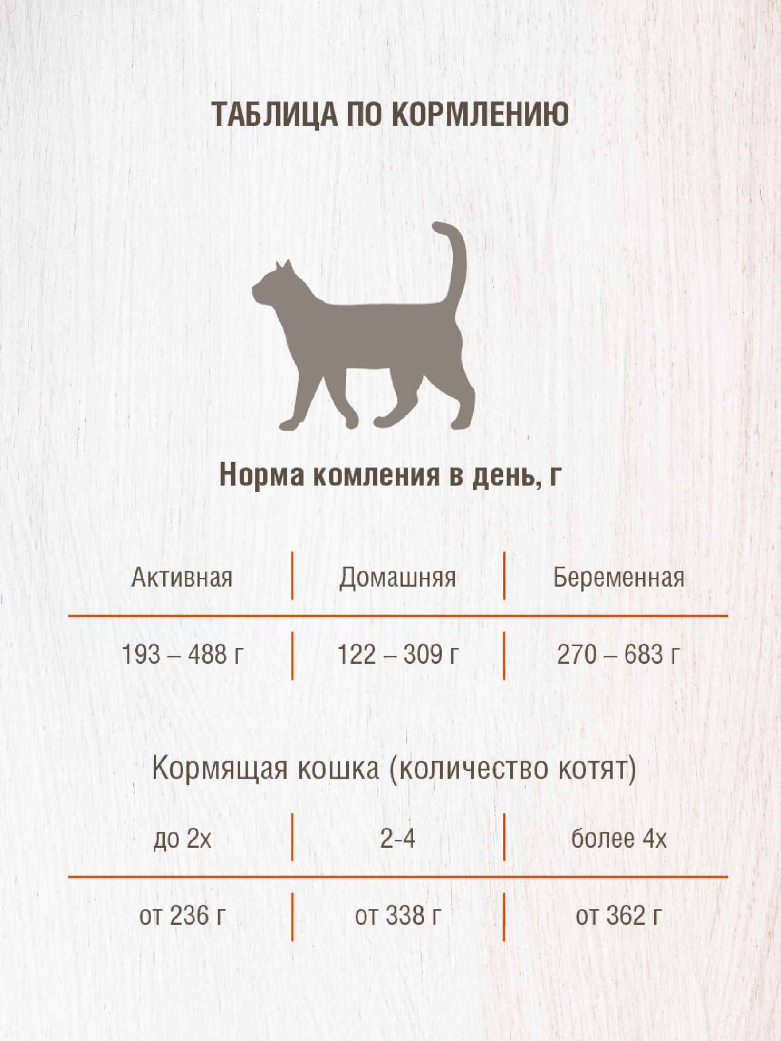 Darsi Консервы (паштет) для кошек с чувствительным пищеварением Ягненок 9228 0.340 кг 64194