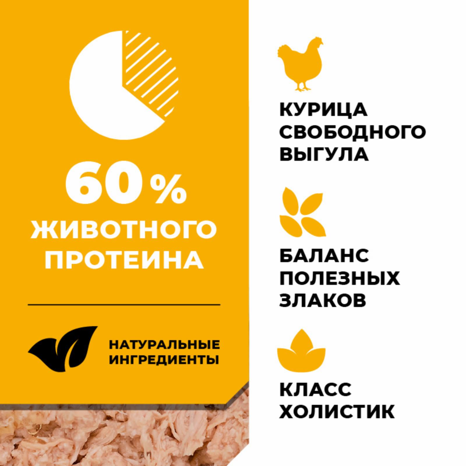 GOKITCHEN консервы Корм консервированный полнорационный для котят и кошек с курицей 20рр10 0.100 кг 65839