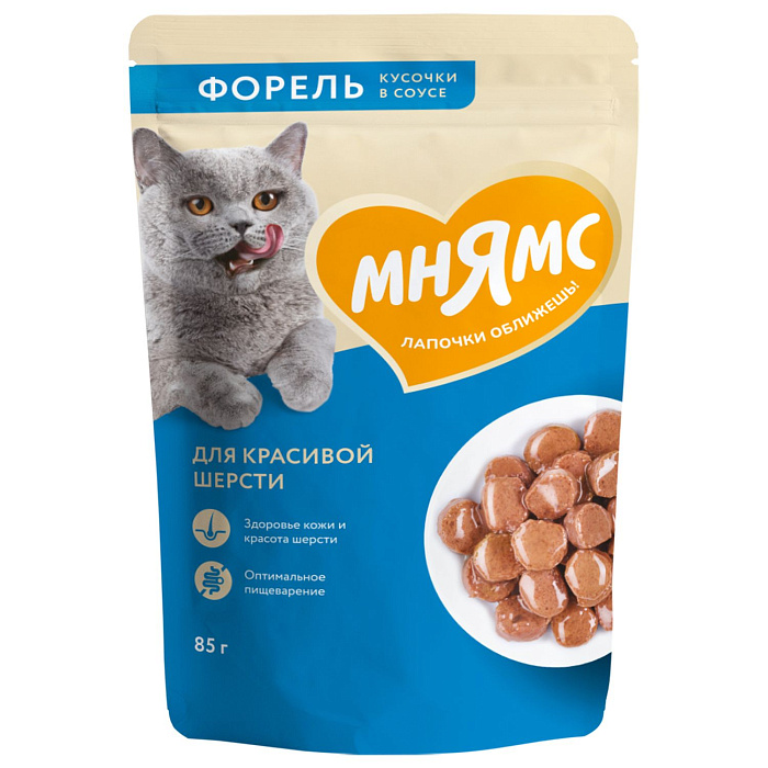             [35883]  Влажный корм Мнямс Кусочки в соусе с форелью для красивой шерсти кошек 85г, 35883