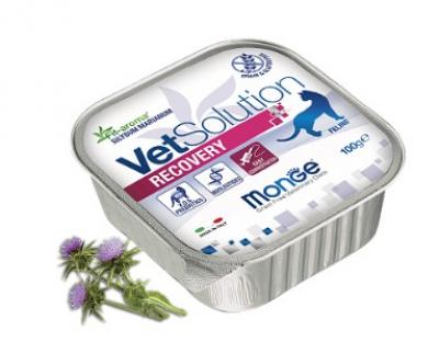 Monge VetSolution Cat Recovery влажная диета для кошек Рекавери 100 г