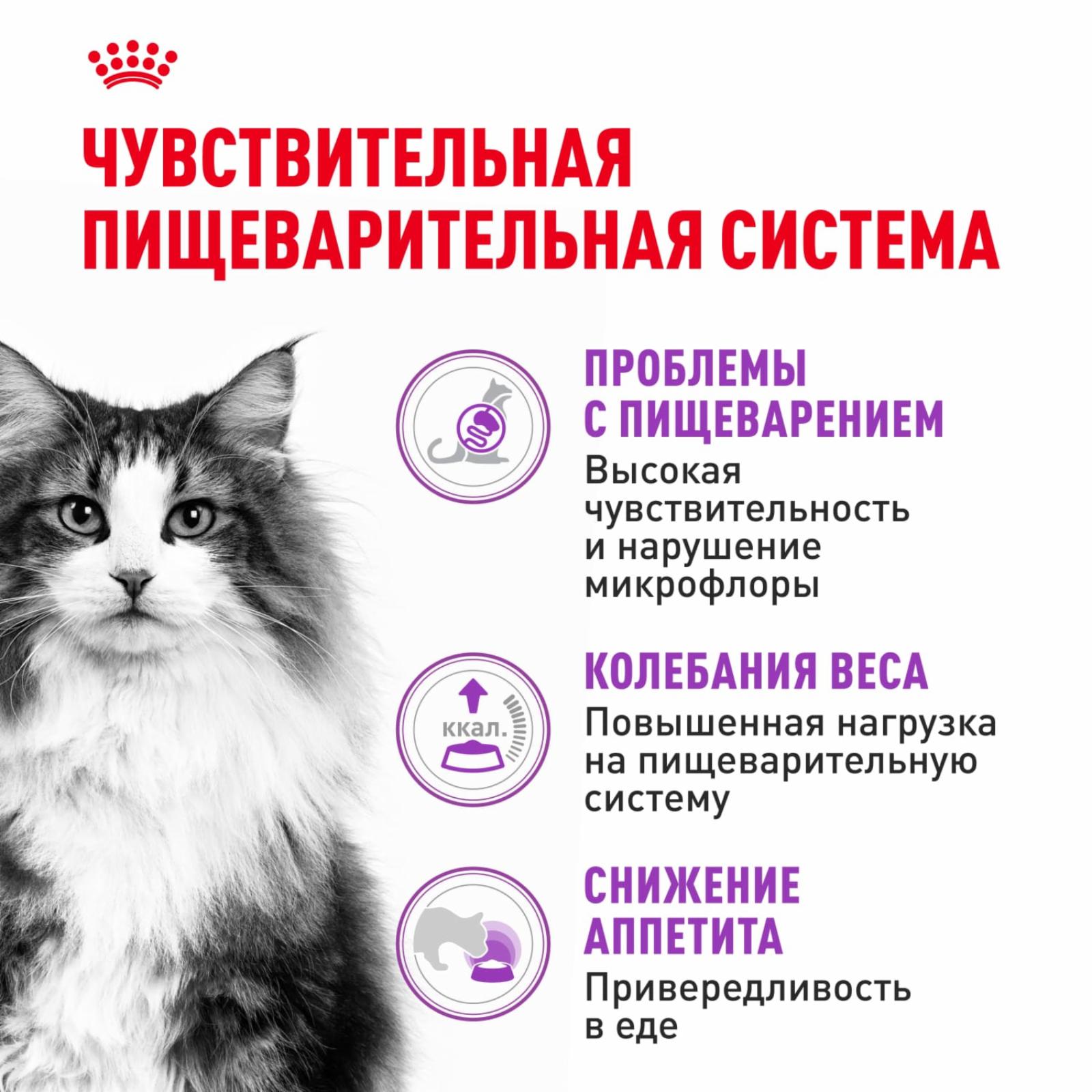 Royal Canin RC Для кошек с чувствительным пищеварением 1-7 лет (Sensible 33) 25210020R0 0.200 кг 58180
