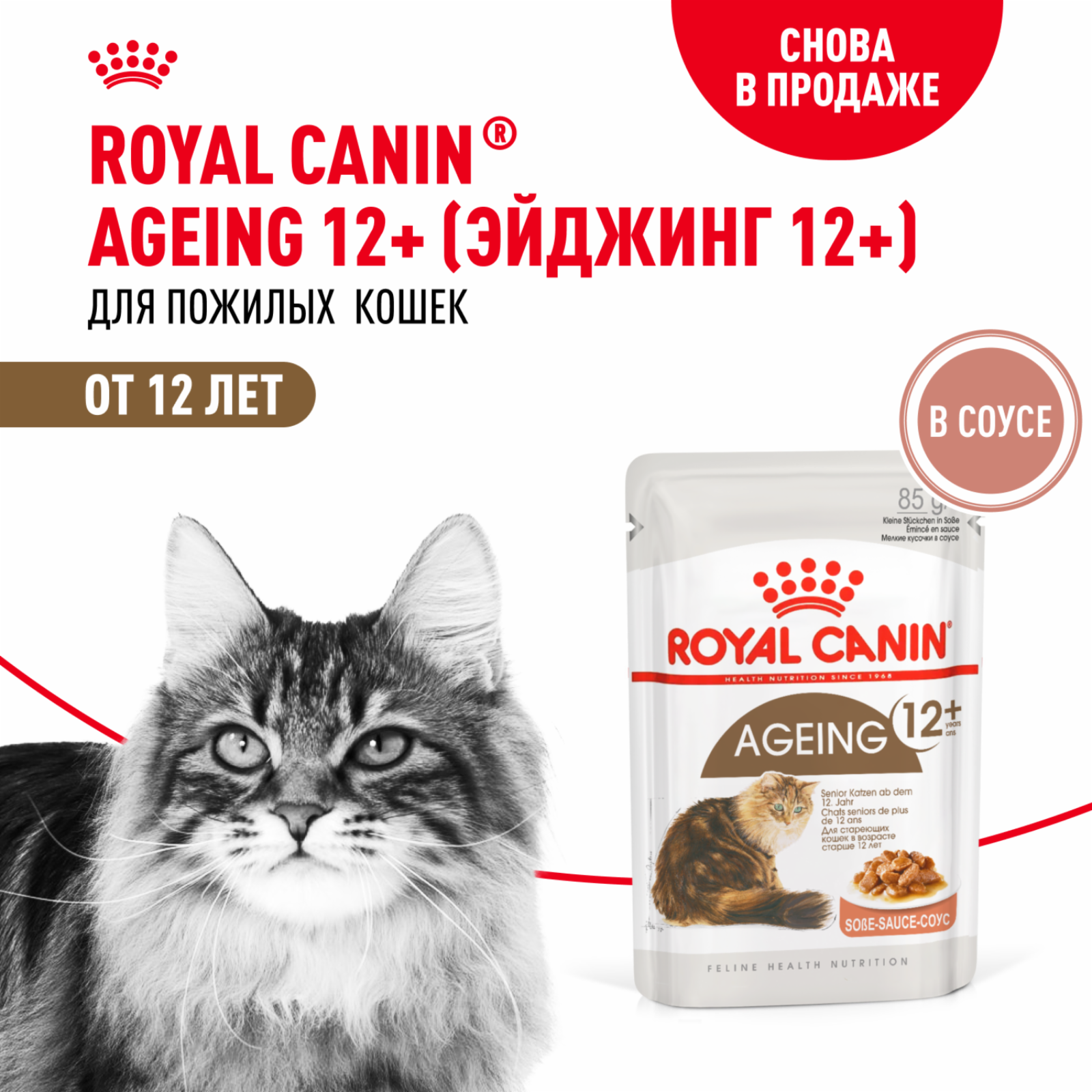 Royal Canin паучи RC Кусочки в соусе для кошек старше 12лет (Ageing+12) 40820008A040820008R0 0.085 кг 22364