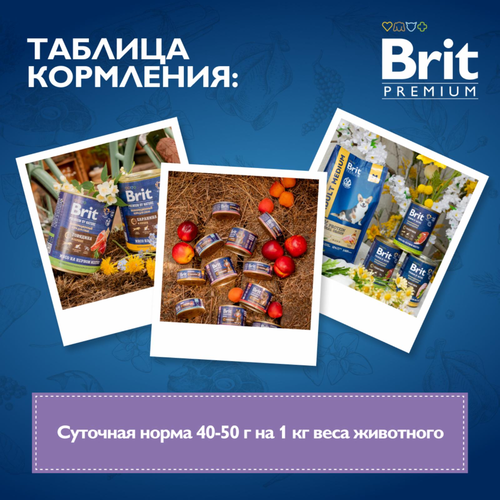 Brit Консервы Premium by Nature с ягненком для кошек с чувствительным пищеварением 5051298 0.100 кг 58359