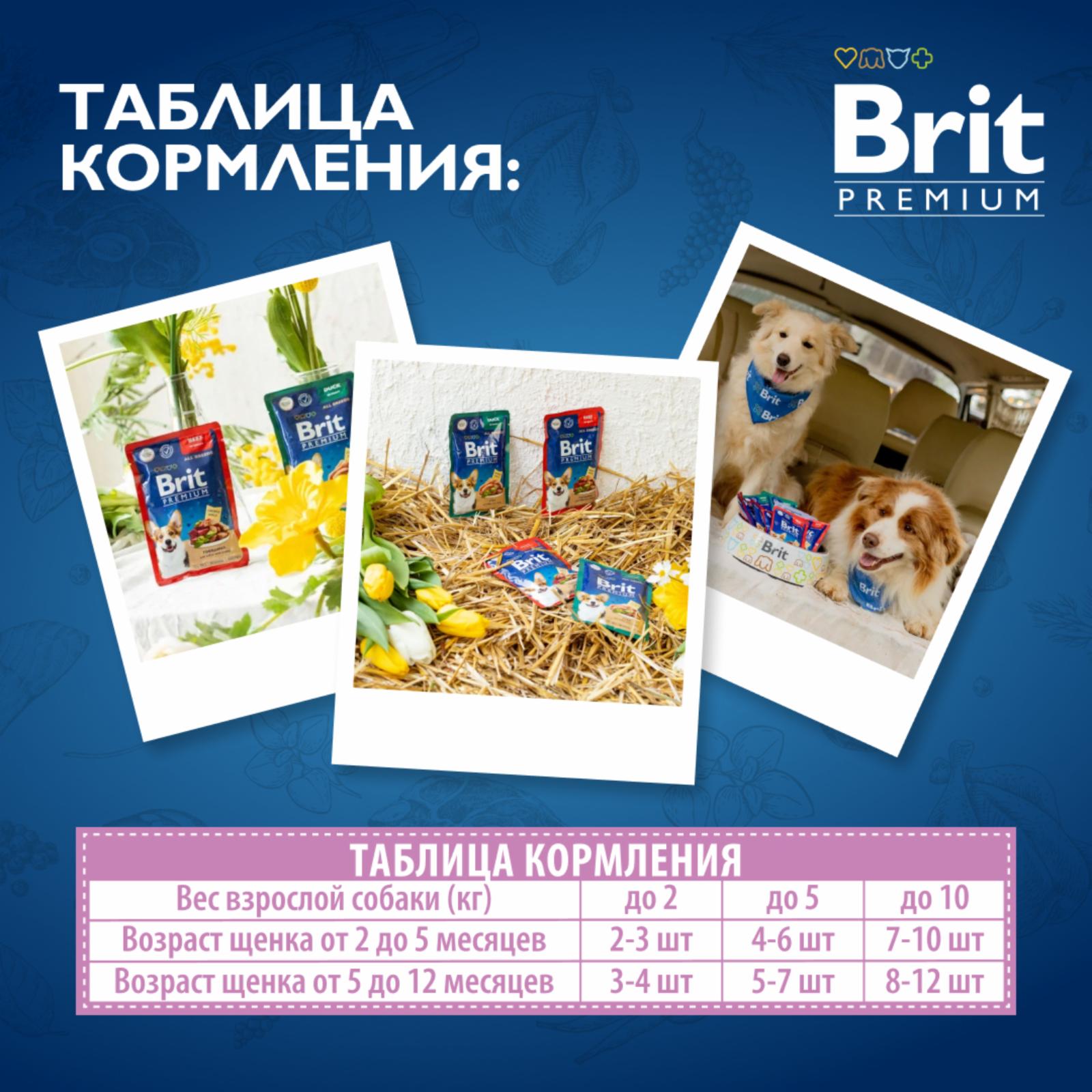 Brit Пауч для щенков миниатюрных пород с  кроликом и  цукини в соусе 5053063 0.085 кг 61402, 3000100424