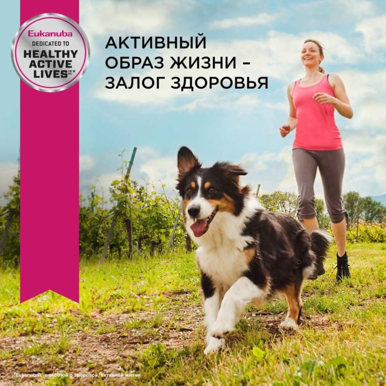 Eukanuba Упаковка 24шт для сайта Паучи корм для собак с ягненком в соусе (10151135) 12090010R0 2.400 кг 40467.1