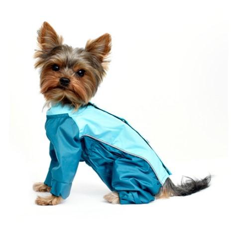 Tappi одежда Дождевик для собак Исонадэ сине-голубой размер XL (ДС 33 см ОГ 44 см ОШ 32 см) 28то22 0,065 кг 63048