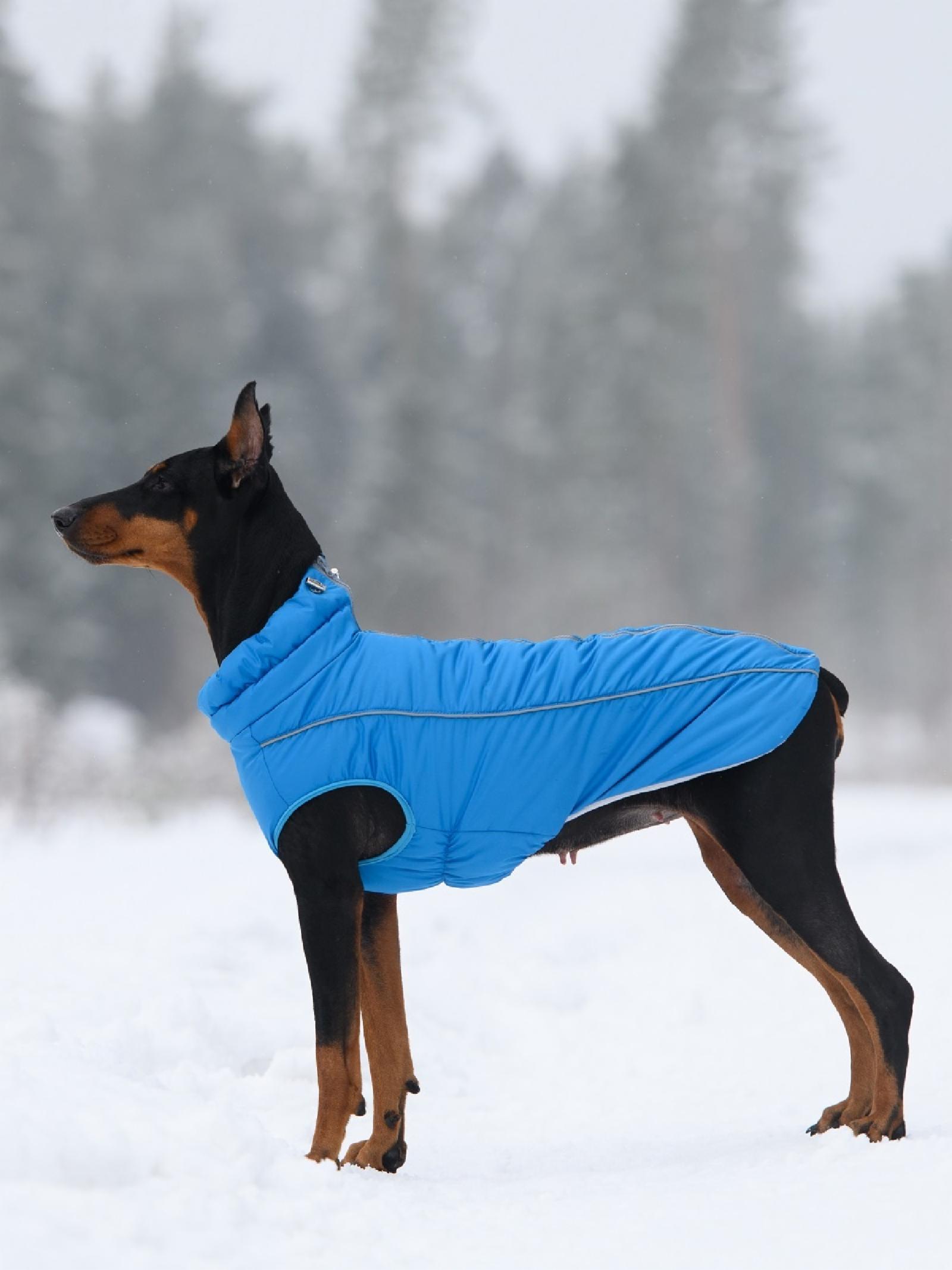 OSSO Жилет зимний для собак Аляска р.40-1 (голубой) Жз-1083 (зима) 0,135 кг 57489