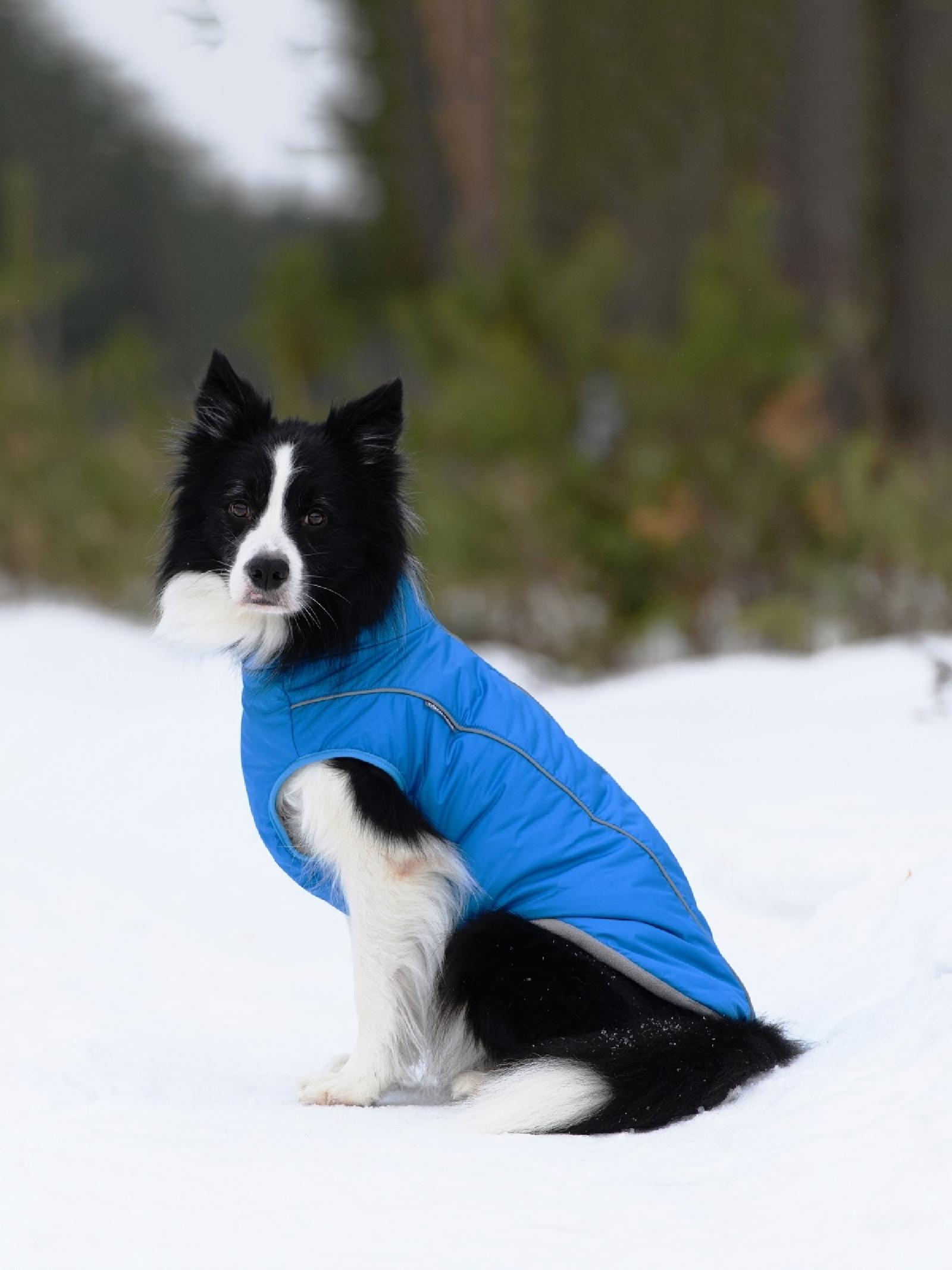 OSSO Жилет зимний для собак Аляска р.40-1 (голубой) Жз-1083 (зима) 0,135 кг 57489