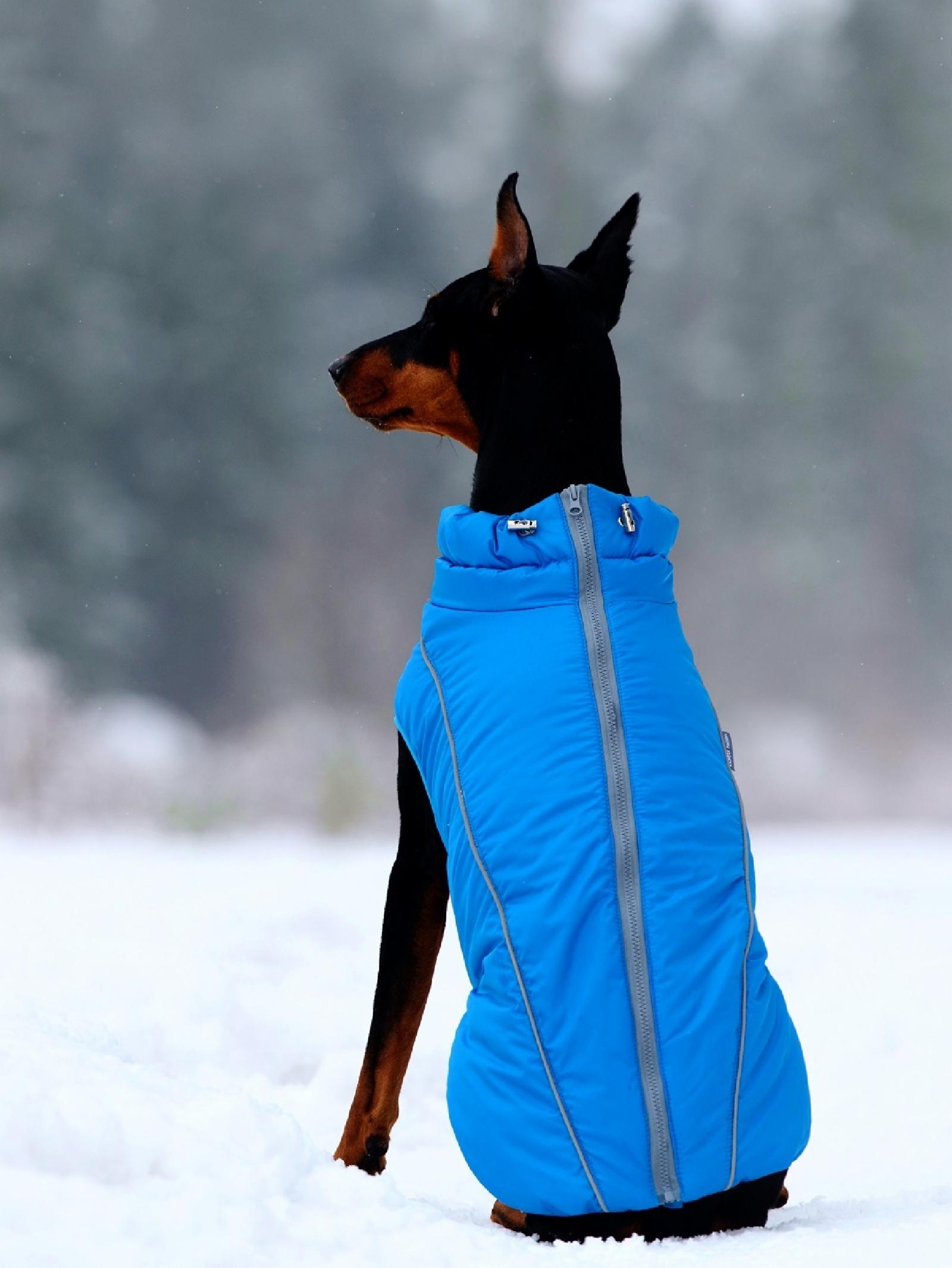 OSSO Жилет зимний для собак Аляска р.40-1 (голубой) Жз-1083 (зима) 0,135 кг 57489