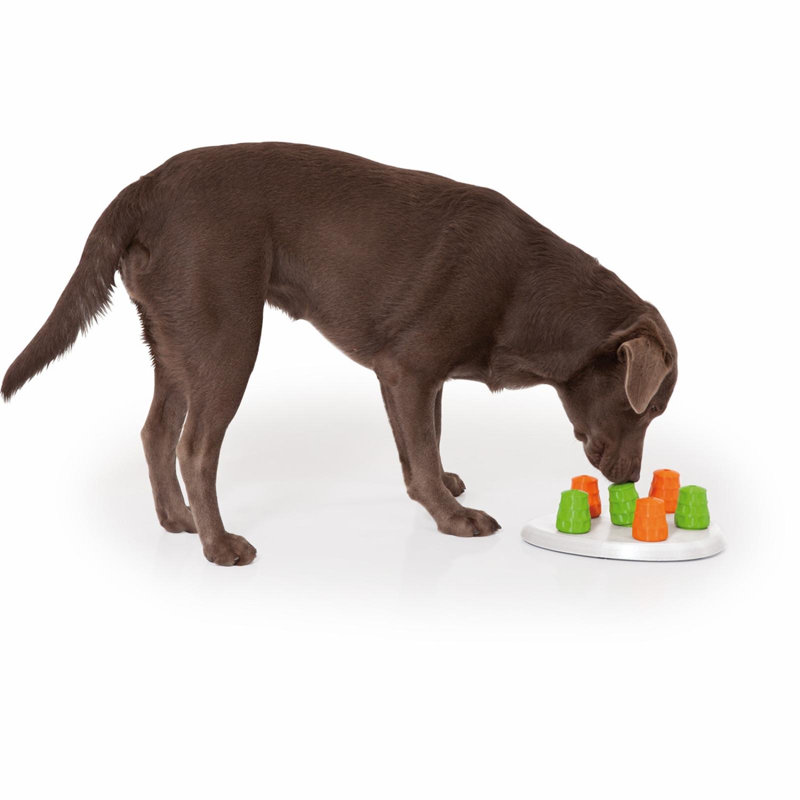 EduPet  Интерактивная игрушка для собак Сниффер (Dog Sniffer) 06025AA 0,650 кг 10876