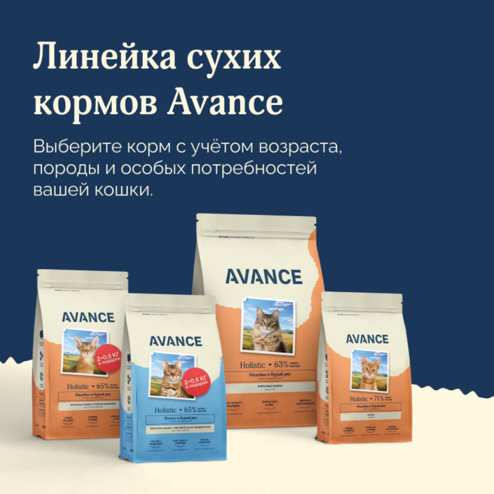 AVANCE holistic консервы Консервы для котят и кошек с лососем Natural&Healthy Salmon 20рр10 0.100 кг 66778