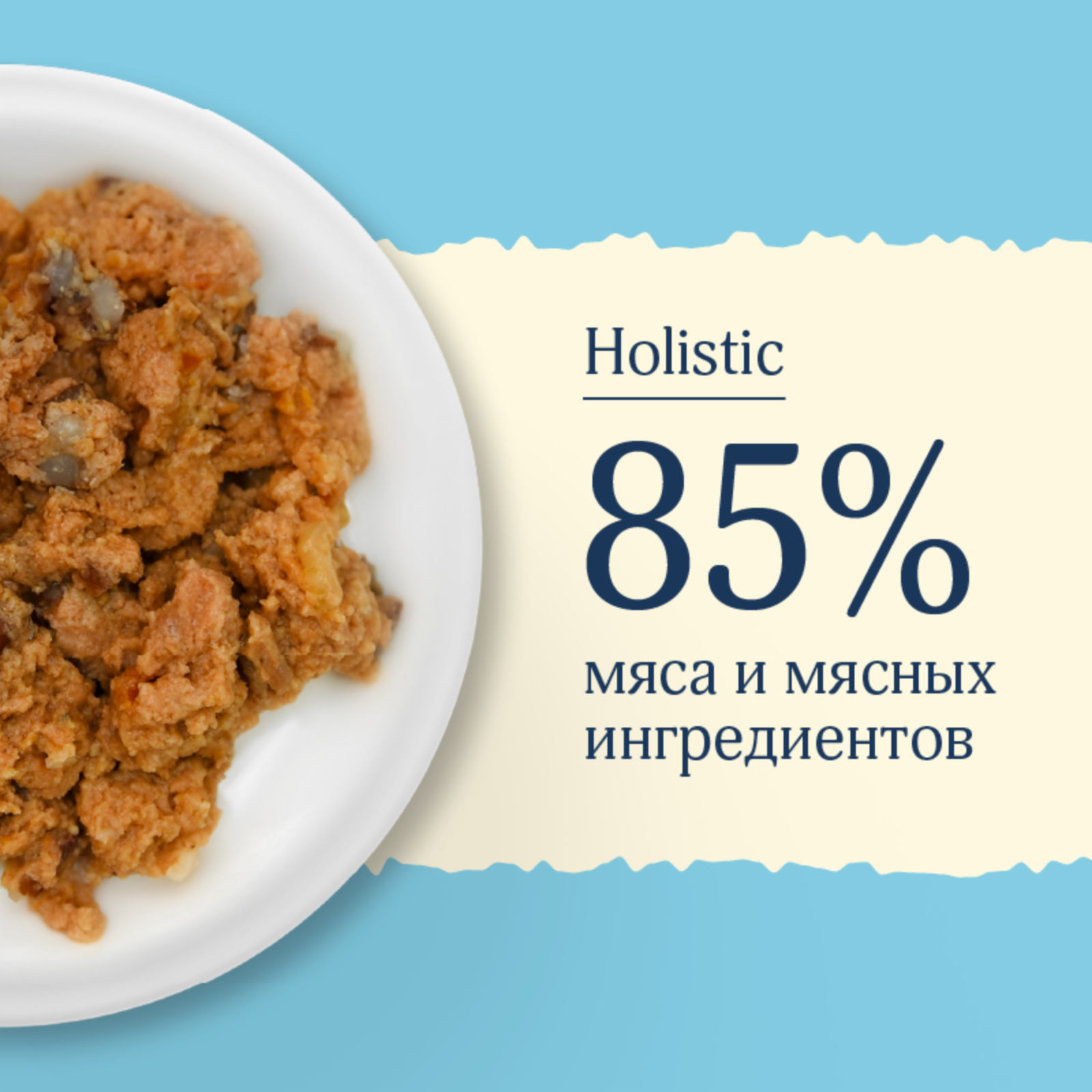 AVANCE holistic консервы Консервы для котят и кошек с лососем Natural&Healthy Salmon 20рр10 0.100 кг 66778