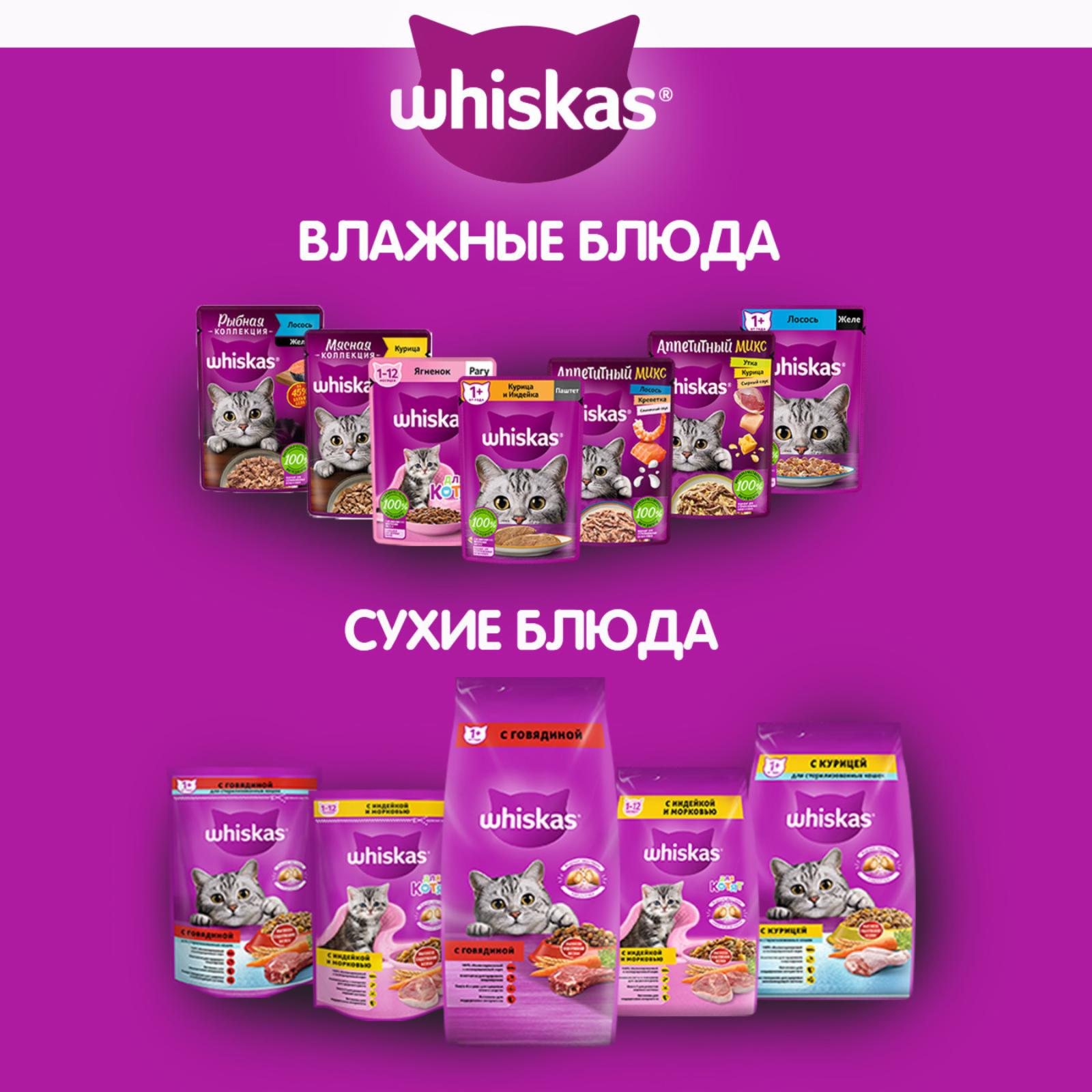 Whiskas Сухой корм для кошек «Вкусные подушечки с нежным паштетом с говядиной» 10233098 13.800 кг 51116